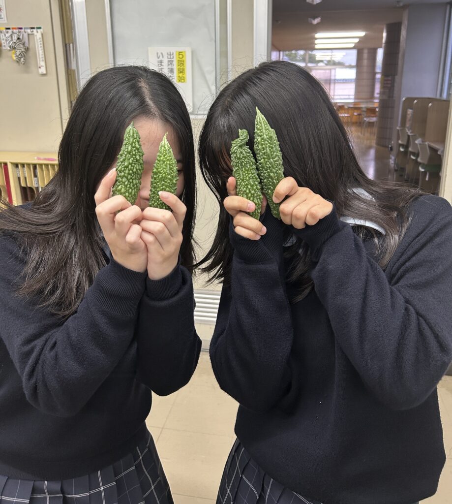 ２学年探究学習でゴーヤを収穫しました。